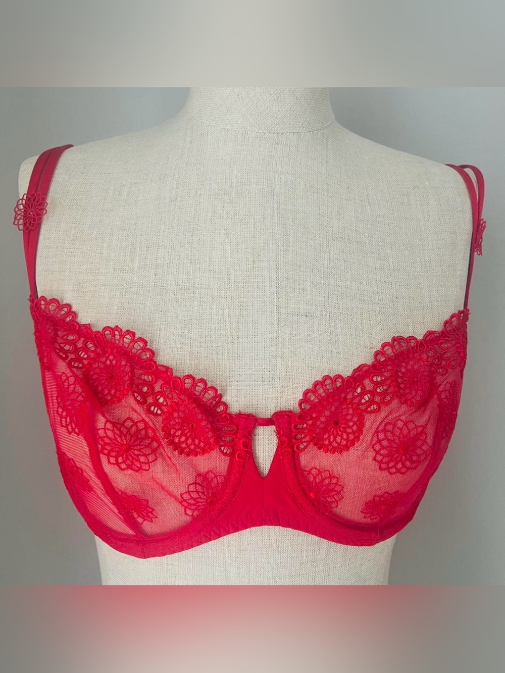 Simone Perele Red Sheer Floral Lace Mesh Embroidered Underwire Bra 36C